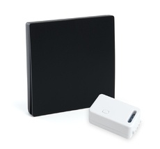 Выключатель беспроводной одноклавишный с радиочастотным контроллером Feron 50507_FR